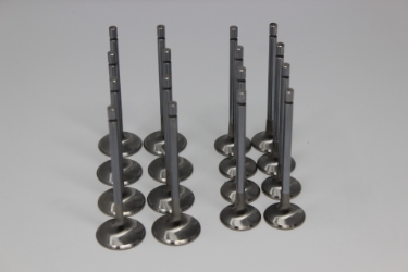 Mazworx Shimless SR20VE Intake & Exhaust Valve Set 