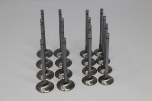 Mazworx Shimless SR20VE Intake & Exhaust Valve Set 