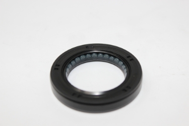 Input Shaft Seal, Z33 Trans 