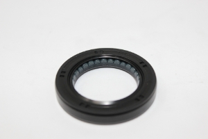Input Shaft Seal, Z33 Trans 